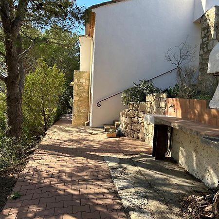 Grand T2 Bis Avec Terrasse Et Vue Apartment Portel-des-Corbieres Exterior photo